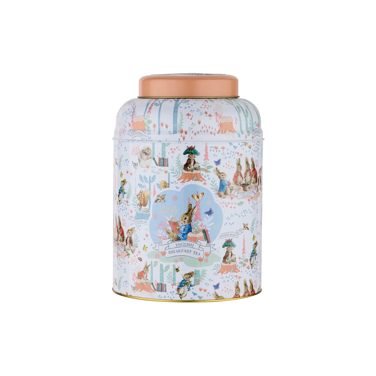 Forest Picnic Beatrix Potter Deluxe Tea Caddy by New English Teas