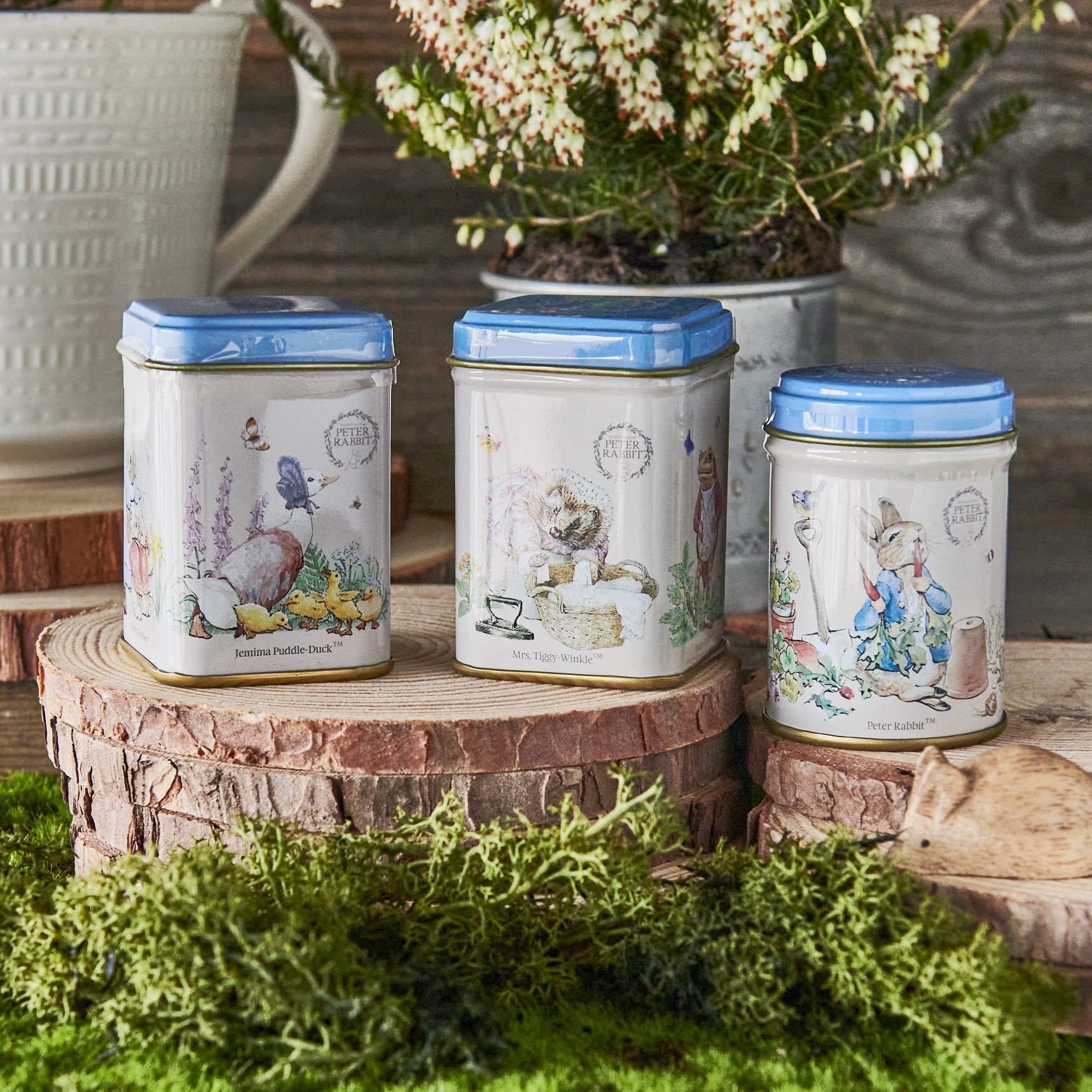 Beatrix Potter Mini Tea Tin Set