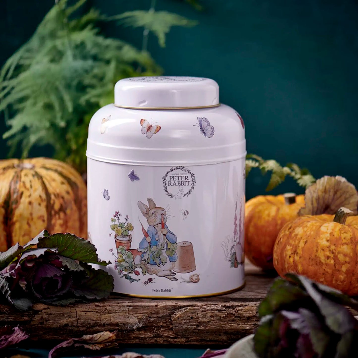 Beatrix Potter Tea Caddy