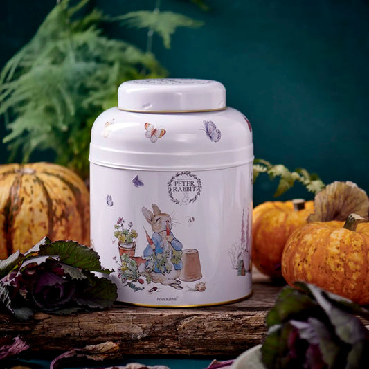 Beatrix Potter Tea Caddy