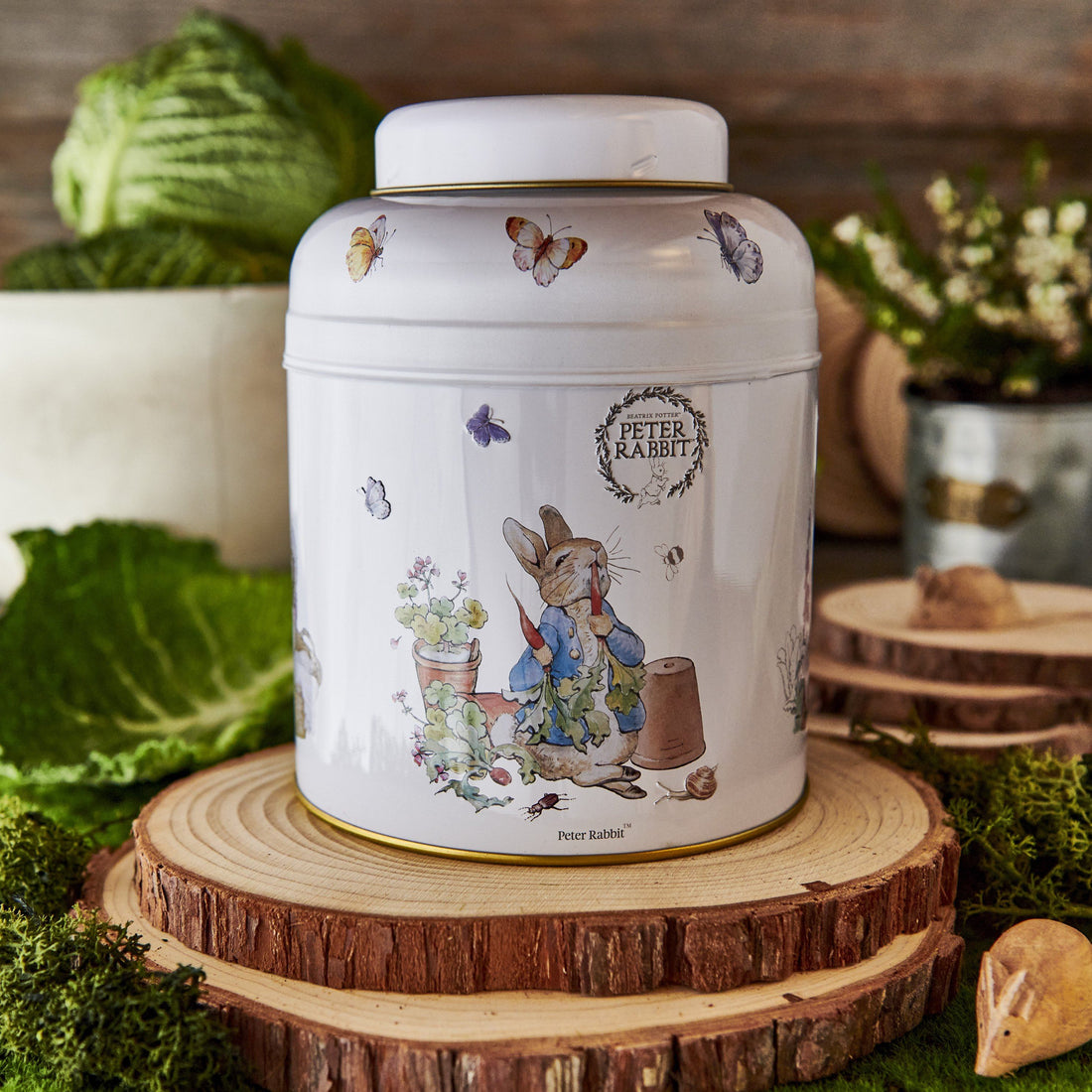 Beatrix Potter 80 Teabag Tea Caddy - Classic - New English Teas