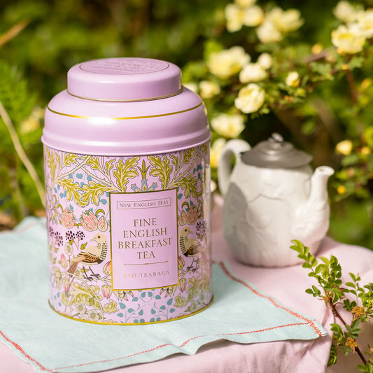 Song Thrush Deluxe Tea Caddy in Pink with 240 English Breakfast Teabags by New English Teas