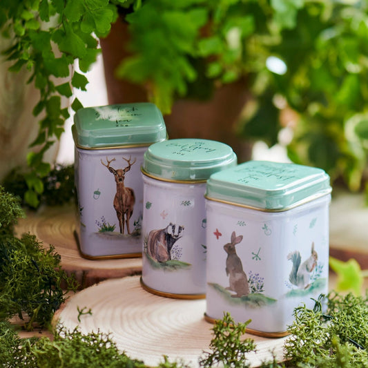 Woodland Friends Mini Tea Tin Set - New English Teas